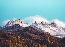 欧冠比赛投注-申花董事长：今年压力有些早 有些大，这是申花重生的代价